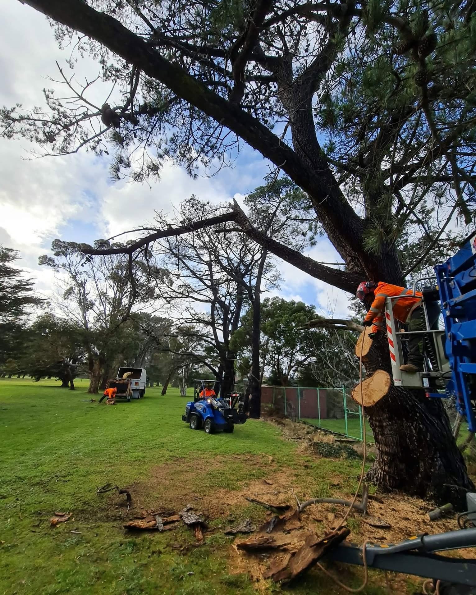 Land clearing project