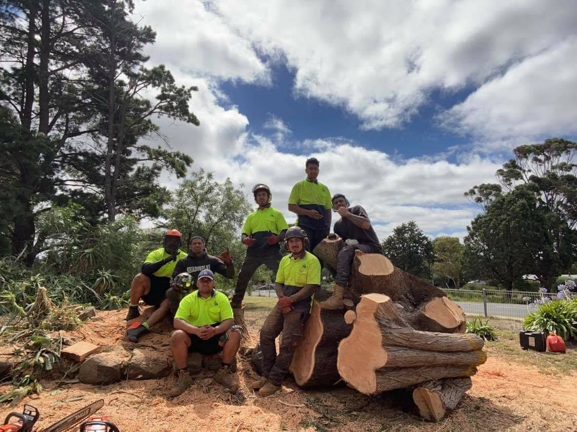 The DTS Tree & Stump Removal crew sitting on a large felled gum tree trunk after a removal job in Melbourne