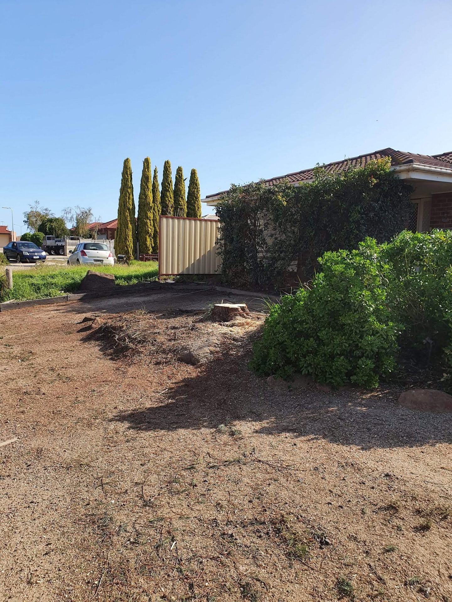 Cleared yard after tree removal and stump grinding