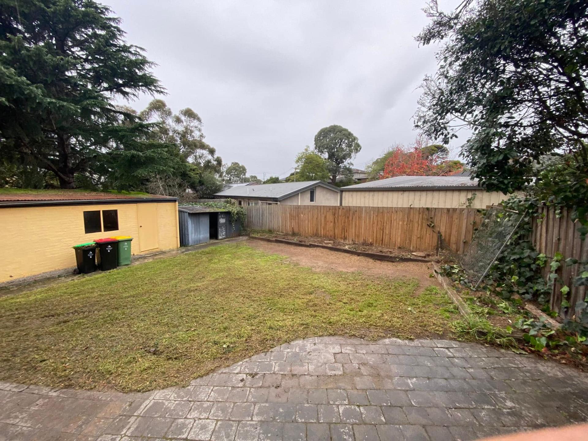 Large conifer removal & yard clean up — after