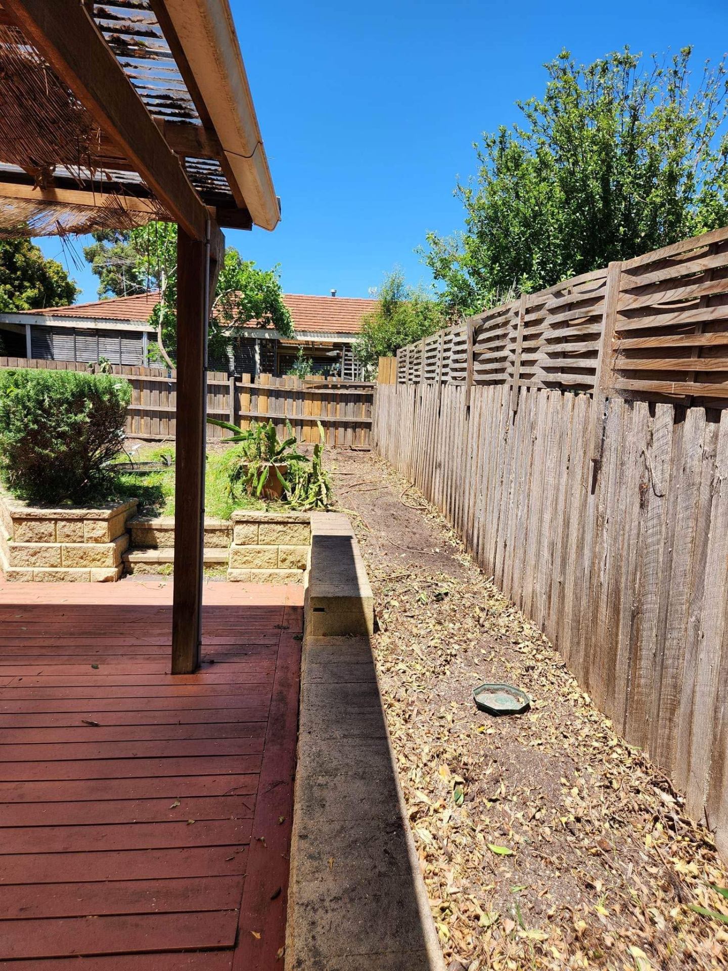Overgrown side garden clearing — after
