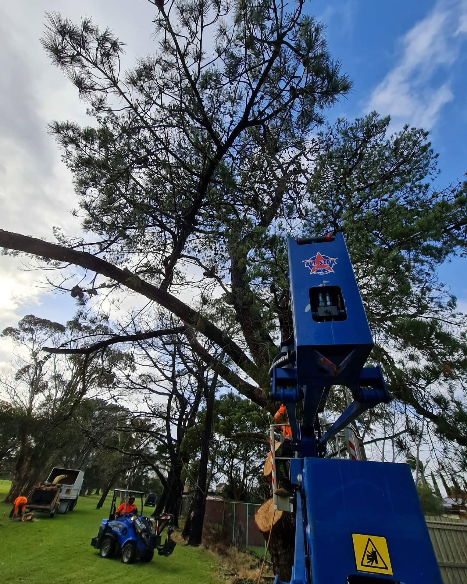 Emergency storm damage tree removal