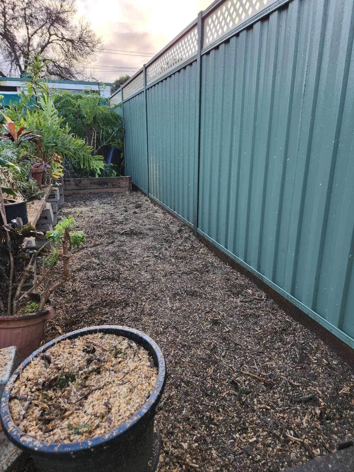 Cypress row removal — after
