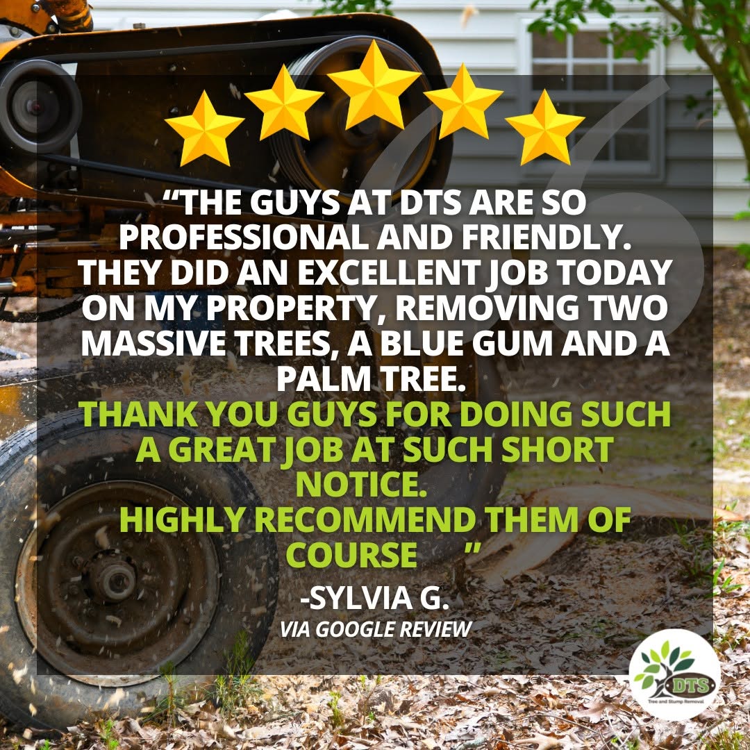 5-star Google review from Sylvia G. praising DTS Tree & Stump Removal