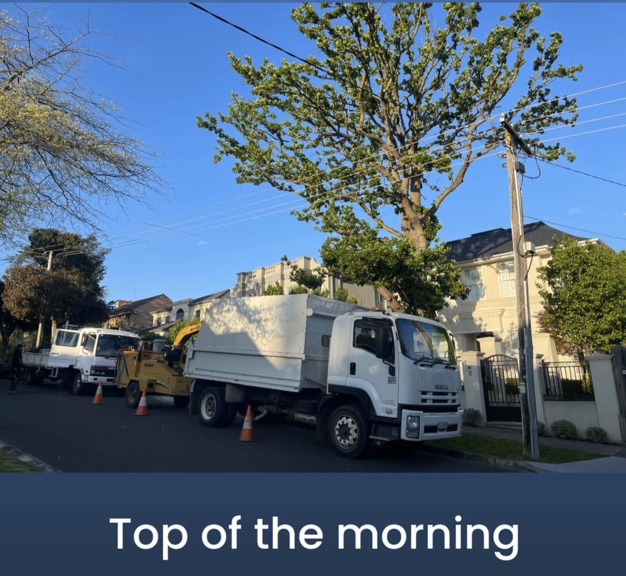 DTS Tree and Stump Removal equipment on site in Melbourne